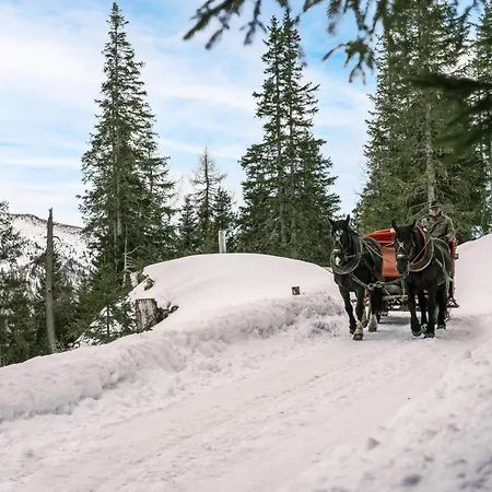 Falkensteiner Residences Edelweiss アパートホテル 4*